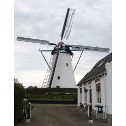 Colijnsplaat - De Oude Molen 02